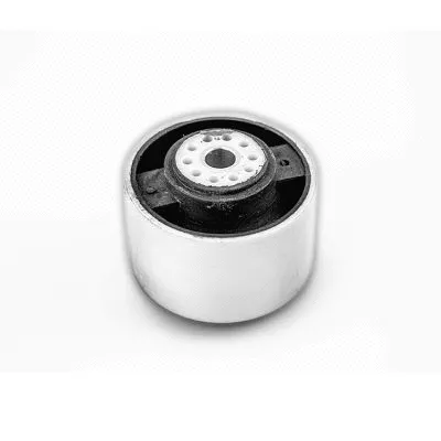 Mounting, engine (2917004)