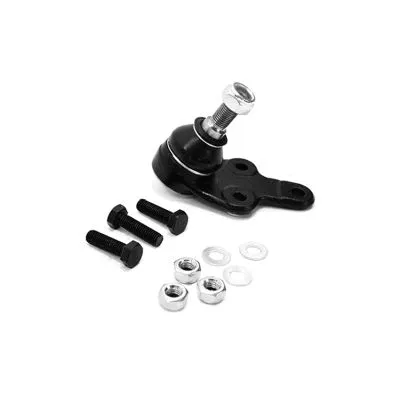 Ball Joint (1008018IT)