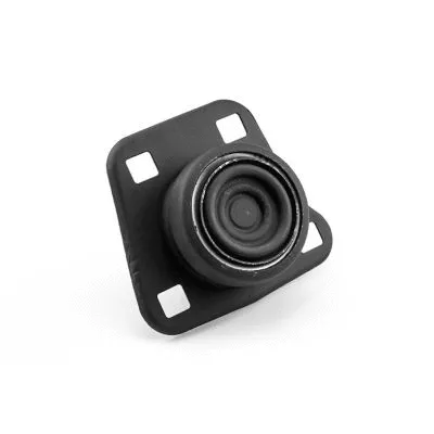 Mounting, engine (2908231)