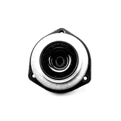 Suspension Strut Support Mount (2526005)