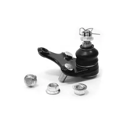 Ball Joint (1025021IT)