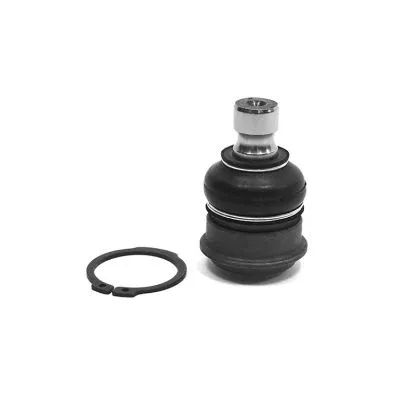 Ball Joint (1019008)
