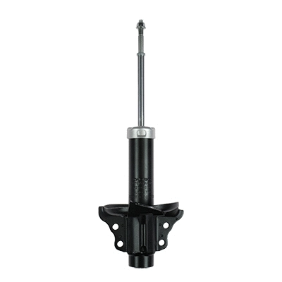 Shock Absorber (F210G1076)