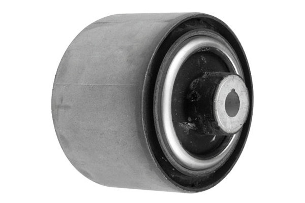 Mounting, control/trailing arm (CAS-1387)