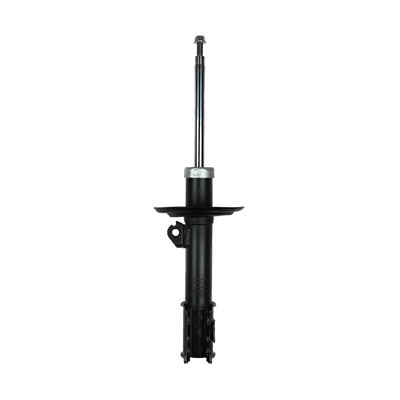 Shock Absorber (F210G1116)