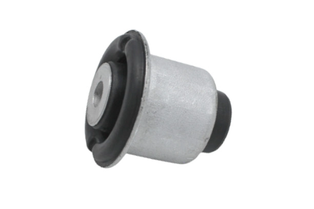 Mounting, control/trailing arm (CAS-1407)