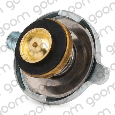 Cap, radiator (RC-0027)