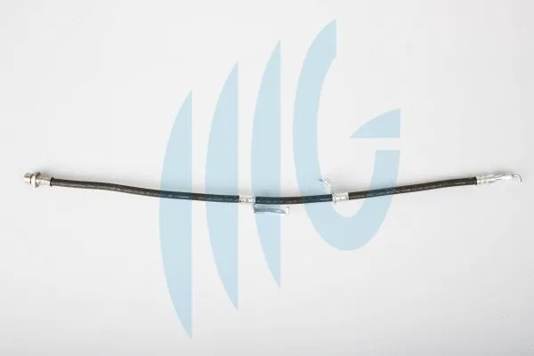 Brake Hose (02561131)