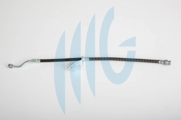Brake Hose (02160940)