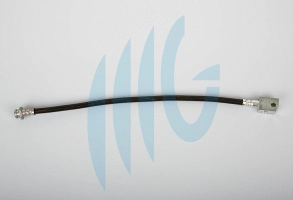 Brake Hose (02101092)