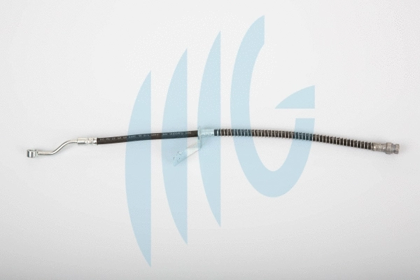 Brake Hose (02160974)