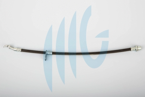 Brake Hose (02101096)