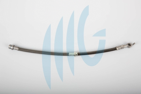 Brake Hose (02320906)