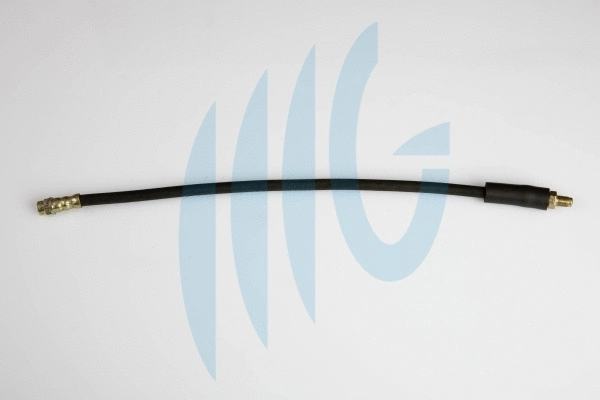 Brake Hose (02440632)