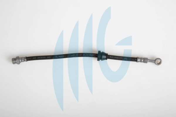 Brake Hose (02070011)