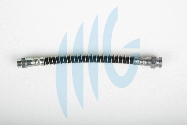 Brake Hose (02060279)