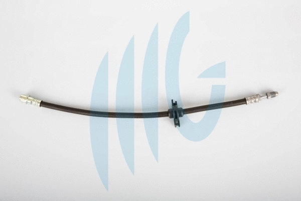 Brake Hose (02040294)