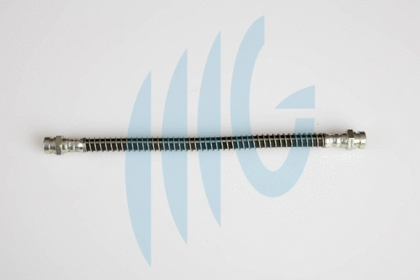 Brake Hose (02160881)