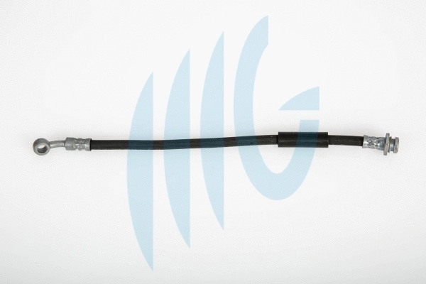 Brake Hose (02520963)