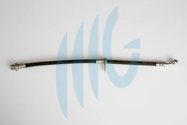 Brake Hose (02180856)
