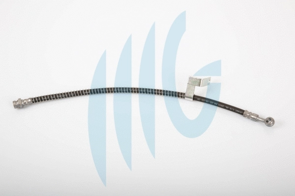 Brake Hose (02160856)