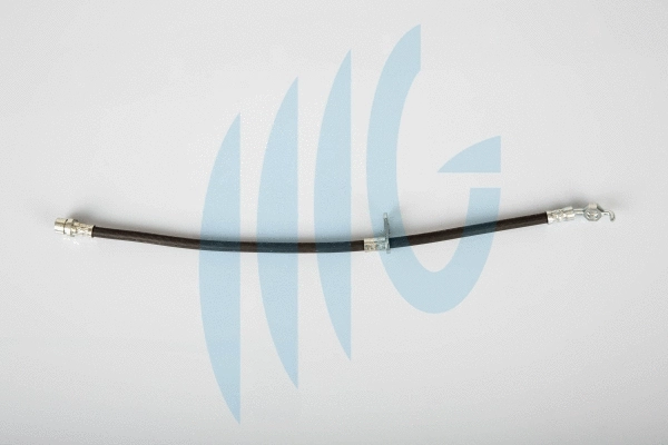 Brake Hose (02561062)