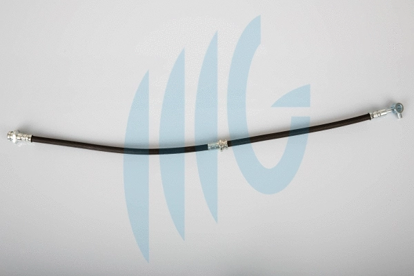 Brake Hose (02101137)