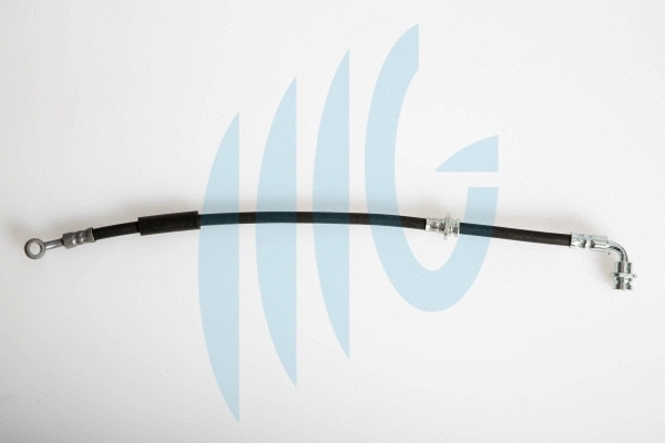 Brake Hose (02520970)