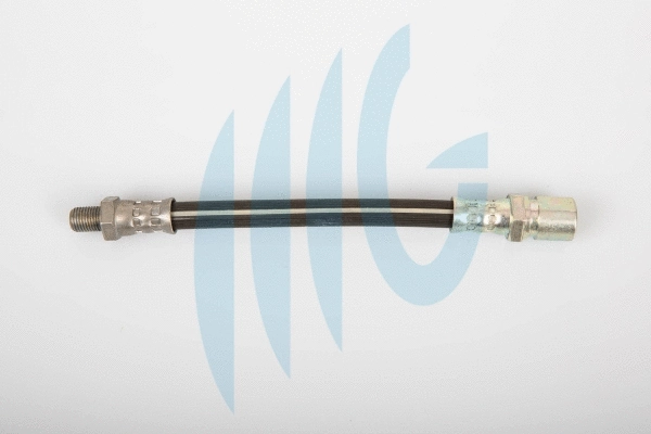 Brake Hose (02120095)