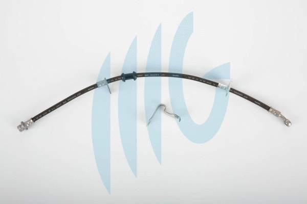 Brake Hose (02180838)