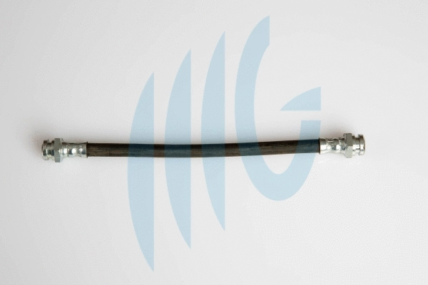 Brake Hose (02300886)
