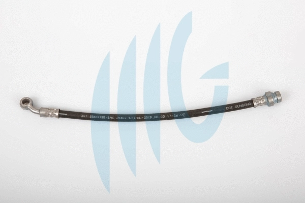 Brake Hose (02160927)