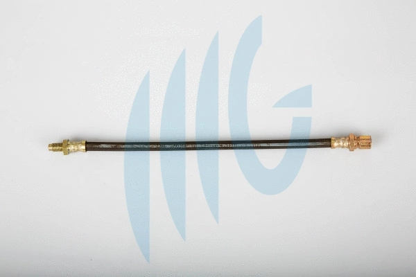 Brake Hose (02561018)