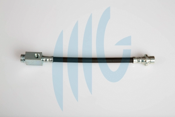 Brake Hose (02180791)