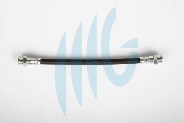 Brake Hose (02120101)