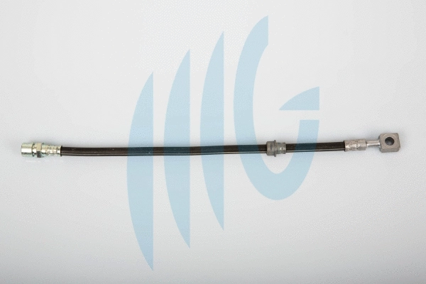 Brake Hose (02360486)