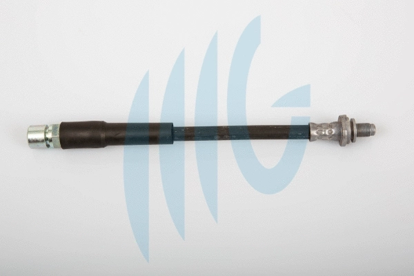 Brake Hose (02460609)