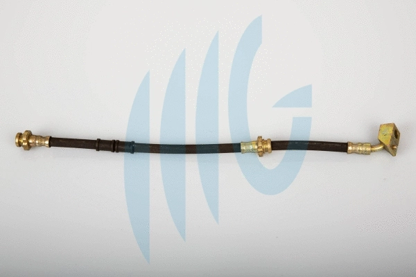 Brake Hose (02100734)