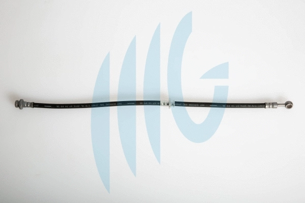 Brake Hose (02101081)