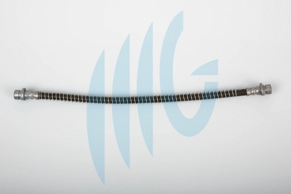 Brake Hose (02280443)