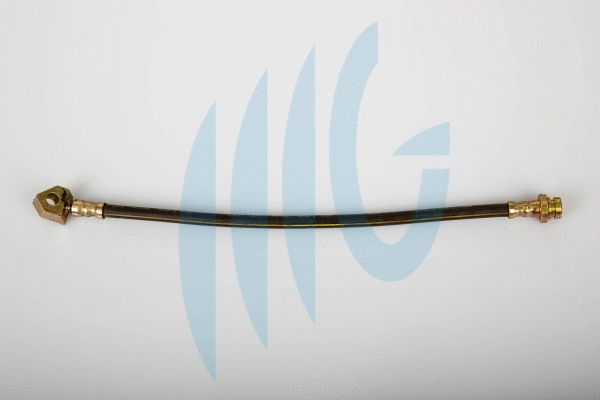Brake Hose (02100796)