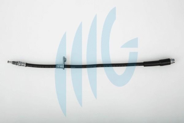 Brake Hose (02120270)