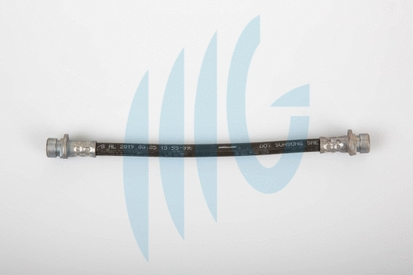 Brake Hose (02180829)