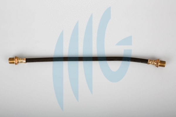 Brake Hose (02380495)