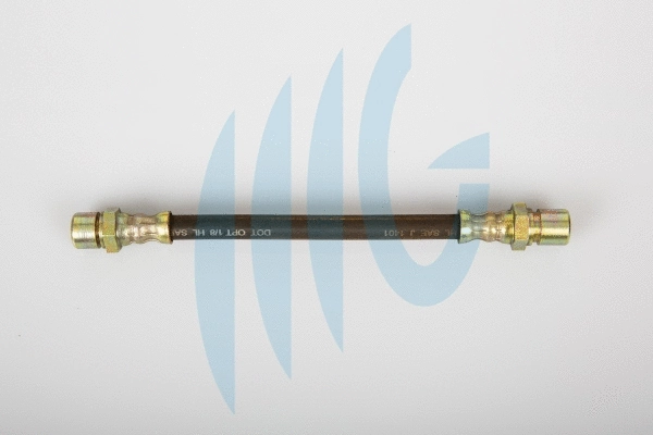Brake Hose (02510931)
