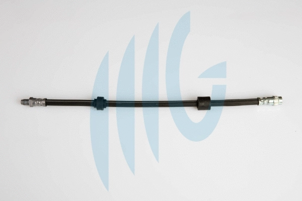 Brake Hose (02101128)