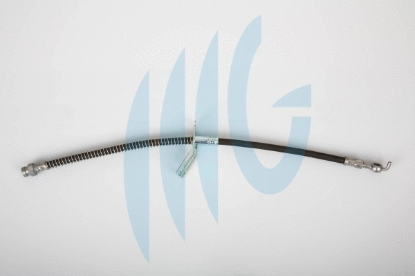 Brake Hose (02190013)