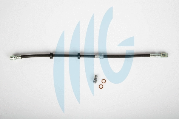Brake Hose (02500623)
