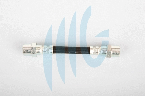 Brake Hose (02040291)