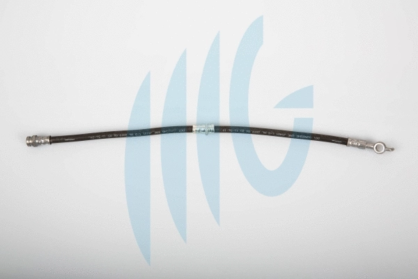 Brake Hose (02300871)